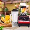 Silvercrest Commercial Blender